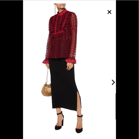 Anna Sui Ruffled embroidered tulle blouse
